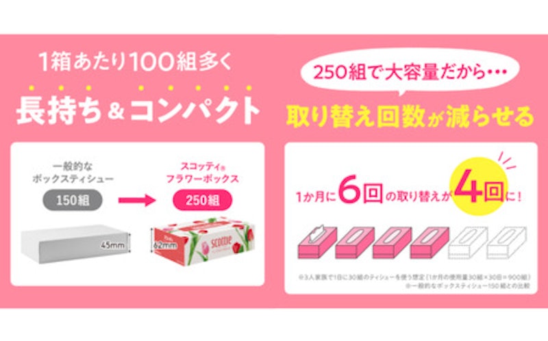 スコッティティシューフラワーボックス 3