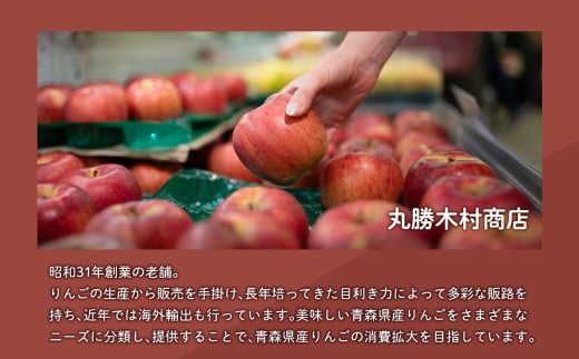 訳あり 家庭用 有袋ふじ 3
