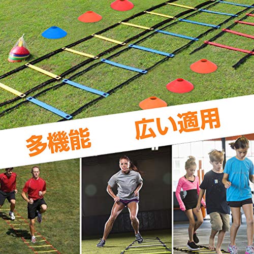 トレーニングラダー 6