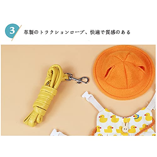 ウサギ ハーネスリードセット 5