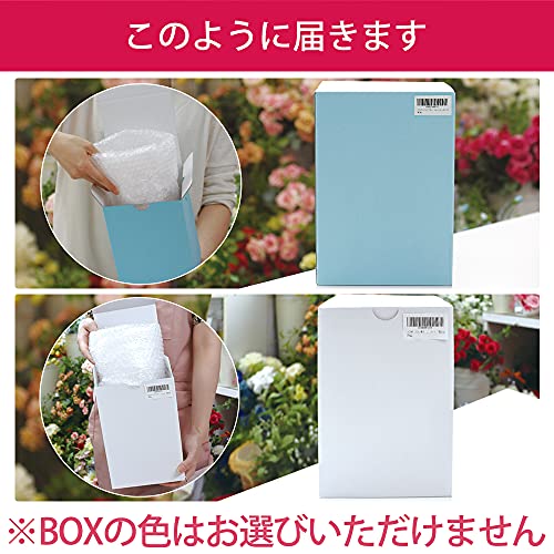 ガラスドーム エンジェル プレミアム 5
