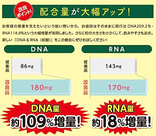 DNA&RNA 4