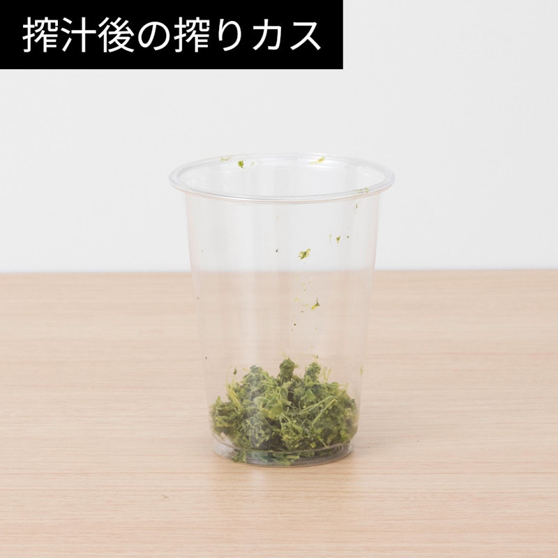 スロージューサー 13
