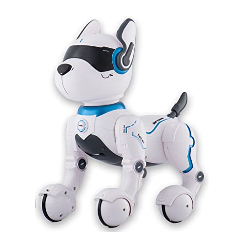 ロボット犬 1