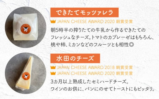 ナカシマファームの人気チーズ3種セット 4