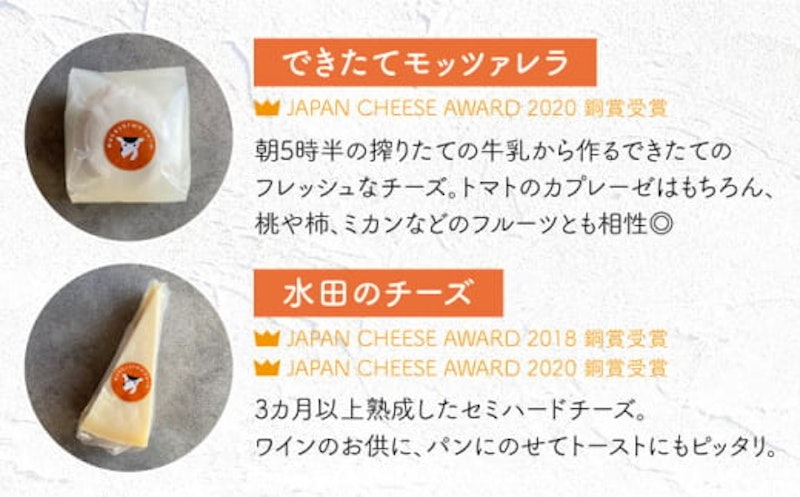 ナカシマファームの人気チーズ3種セット 4