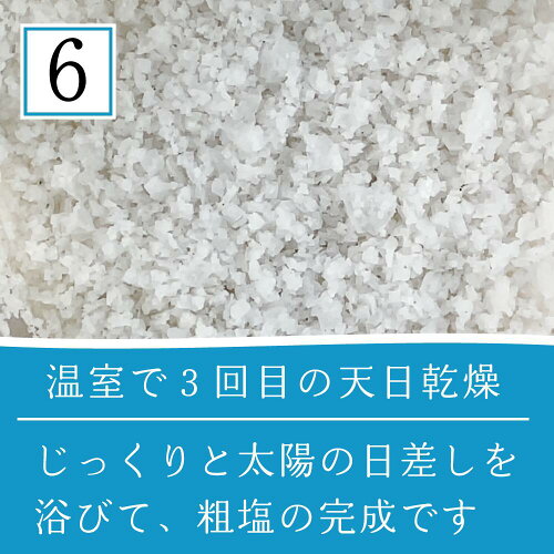 TEJAKULA バリ島の完全天日塩 あらじお 7
