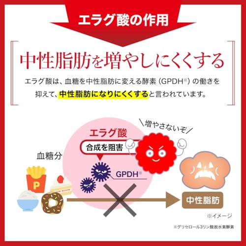 エラグ酸 脂肪減少サポート 4