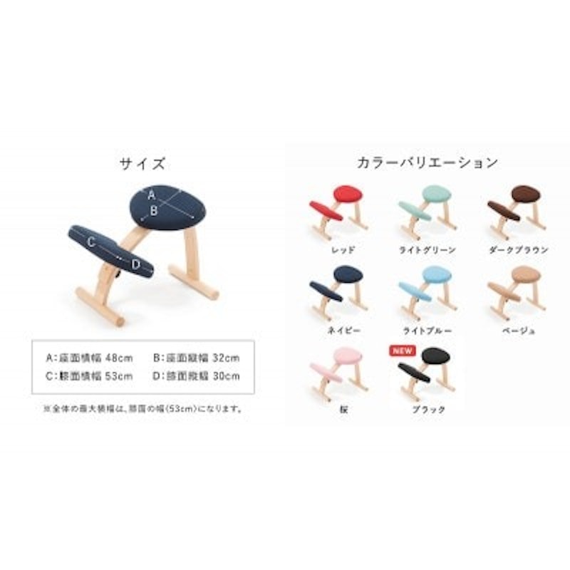バランスイージー 通常フレーム カバーつき 4