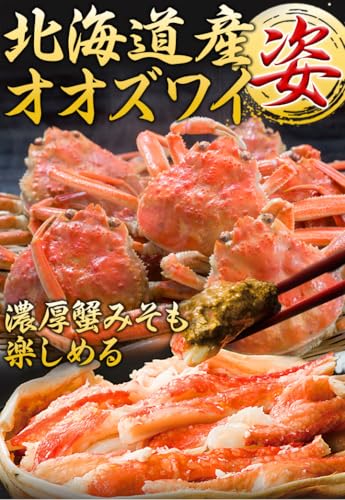 北海道産オオズワイガニ姿 2