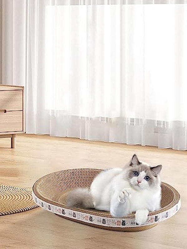 爪研ぎ 4