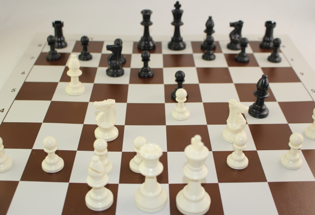 22年 チェス駒のおすすめ人気ランキング13選 Mybest
