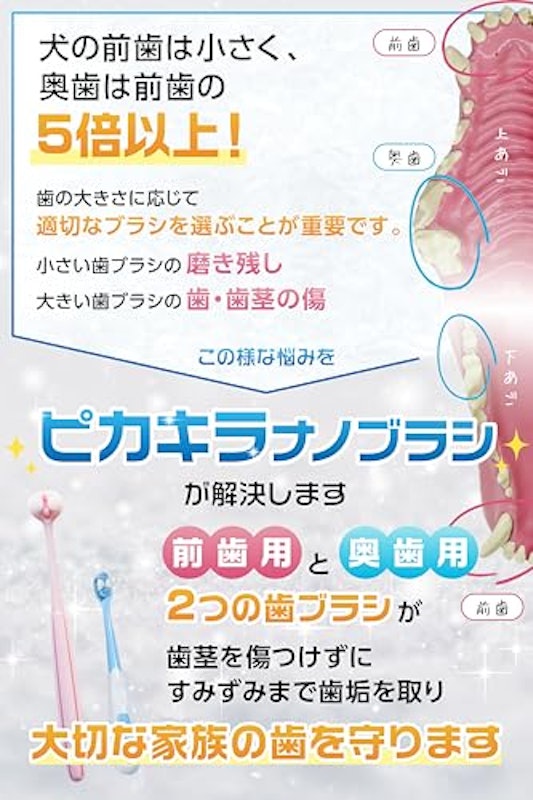 犬歯ブラシ 3