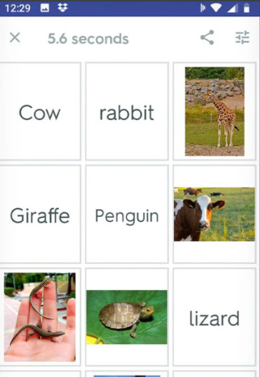 Quizlet：語学とボキャブラリーを学びましょう 3