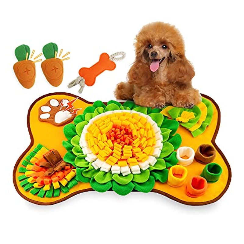 犬用おもちゃ 1