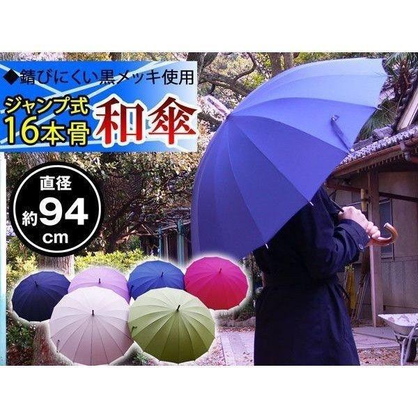 16本骨ポンジージャンプ和傘 2
