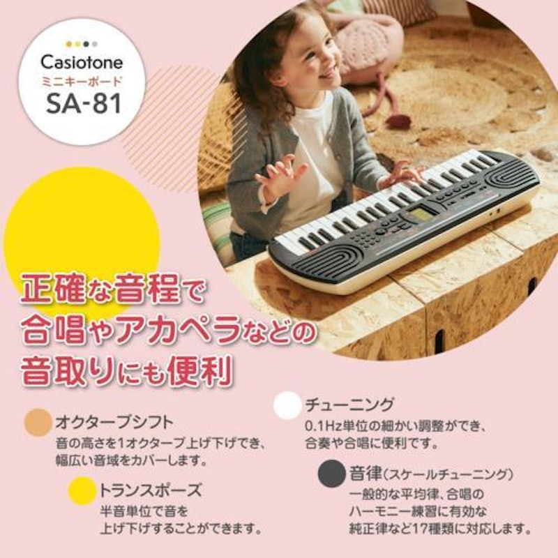 Casiotone ミニキーボード 5