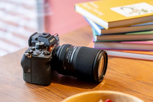 28-300mm F/4-7.1 Di III VC VXD 3