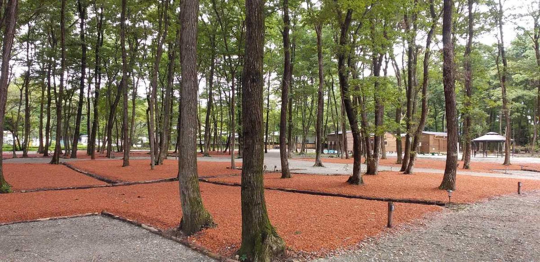 那須板室ファミリーオートキャンプ場「ハピスポ」 1