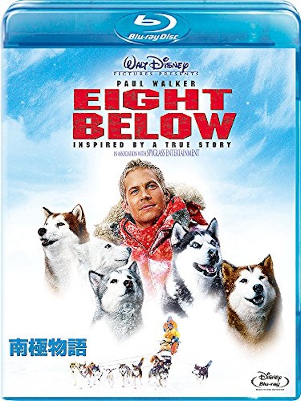 22年 犬映画のおすすめ人気ランキング30選 Mybest 22年 犬映画のおすすめ人気ランキング30選 Mybest