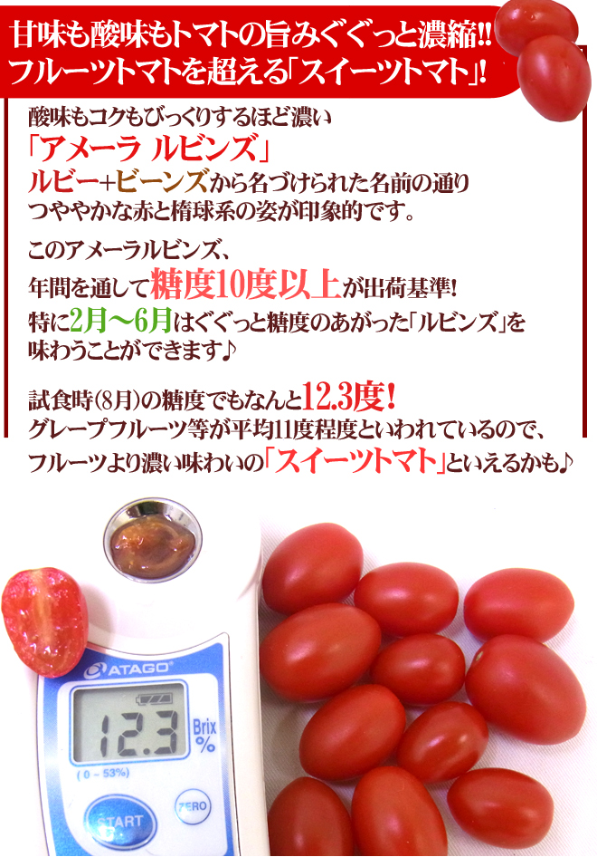 アメーラルビンズ 3