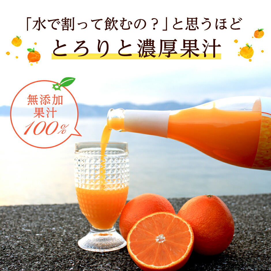 島みかんジュース 選べる2本セット 3