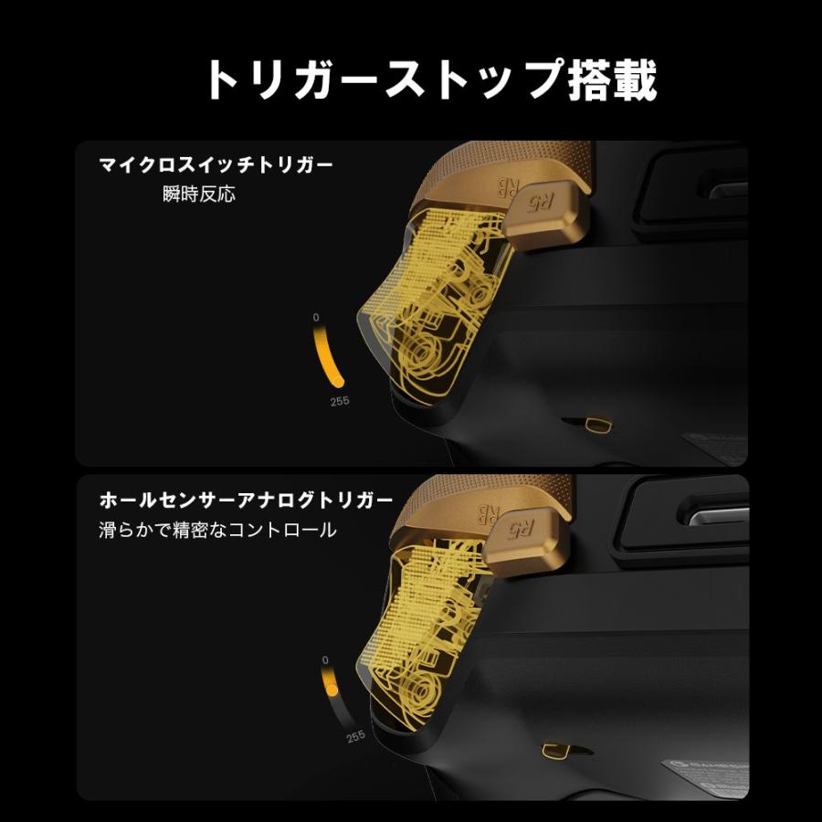 Champion Edition 5