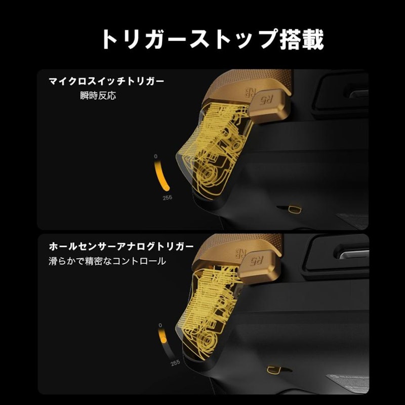 Champion Edition 5