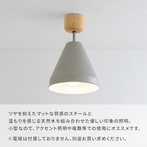 シーリングライト 3