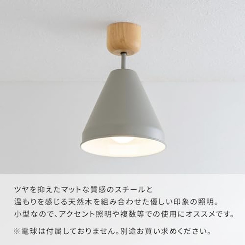 シーリングライト 3