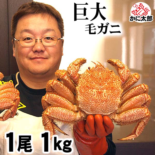 かに太郎のカニ通販のおすすめ人気ランキング 4