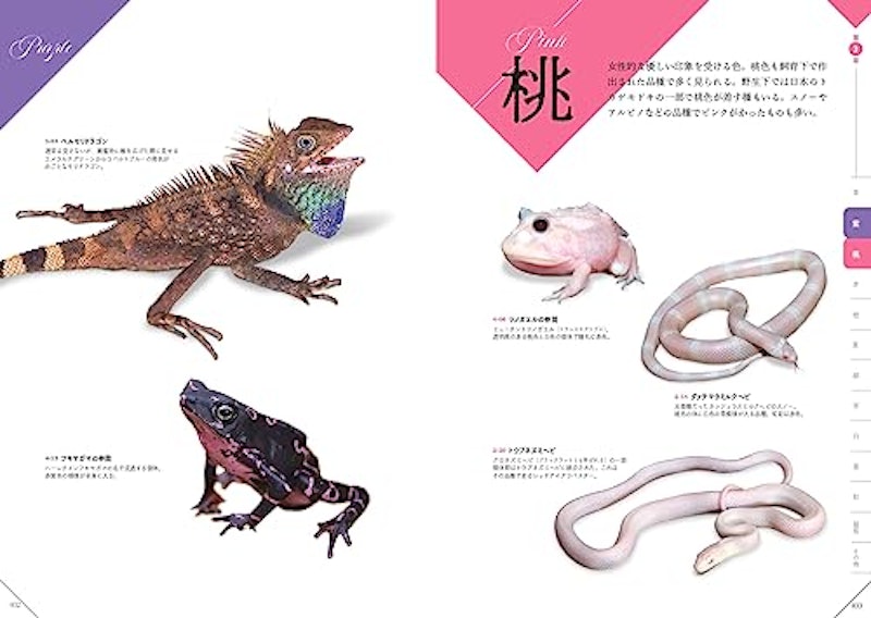 色彩別 爬虫類・両生類図鑑 4