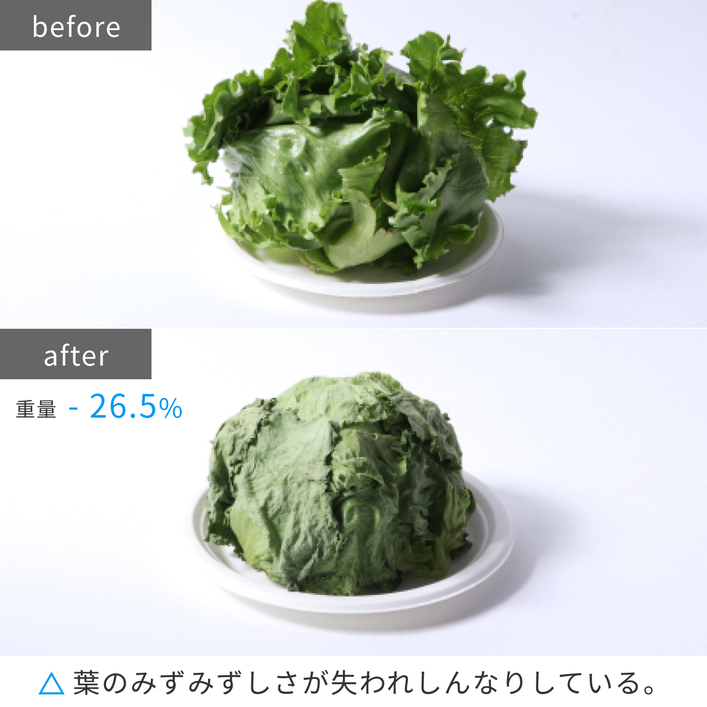 IRSN−17A-WE 11