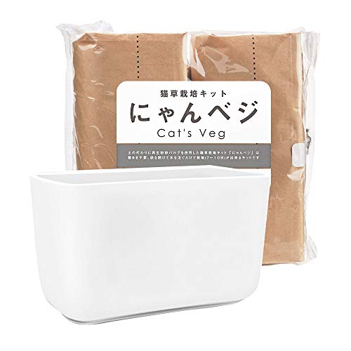 猫草栽培キット にゃんベジ セットN 2
