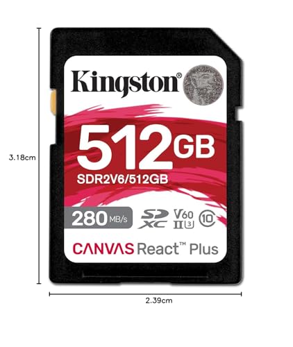 Canvas React Plus V60 SD メモリカード 11