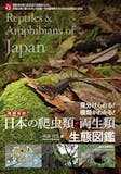 爬虫類図鑑のおすすめ人気ランキング 4