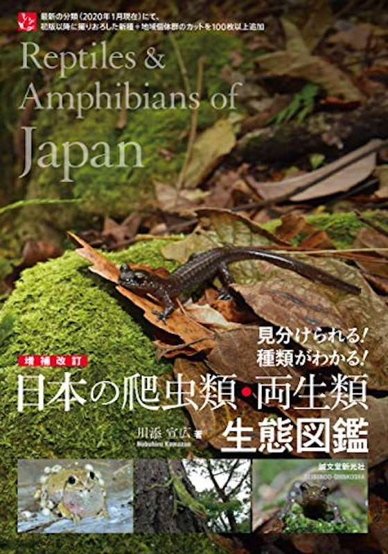 増補改訂 日本の爬虫類・両生類 生態図鑑 1