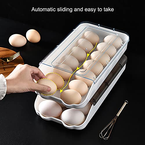 卵ケース 5