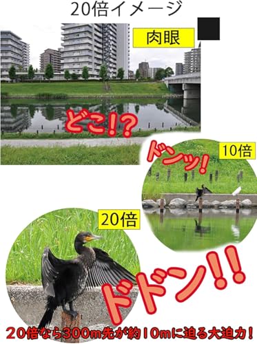 双眼鏡 4