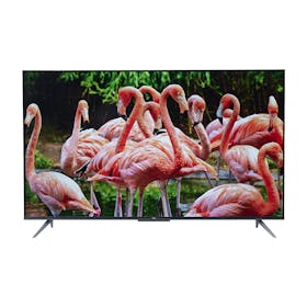 TCL JAPAN ELECTRONICS P745シリーズ 50P745を検証レビュー!50 TCL JAPAN ELECTRONICS P745シリーズ 50P745を検証レビュー!50