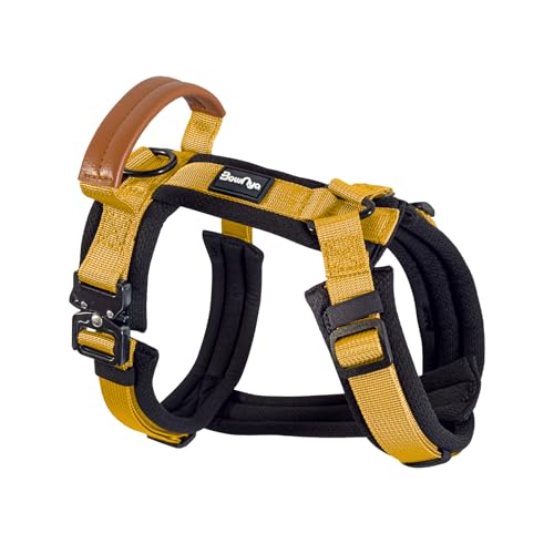 KOKOCHI Harness 1