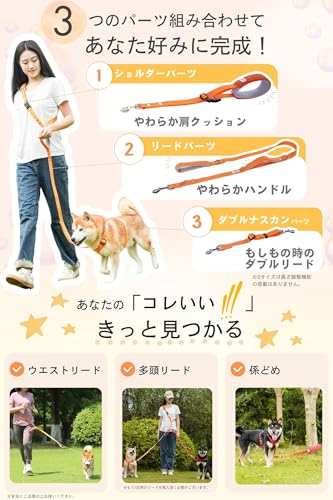 犬用リードのおすすめ人気ランキング【2026年10月】 | マイベスト