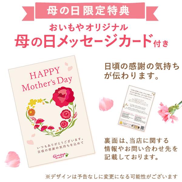 マイクロ胡蝶蘭とバウムクーヘン 6