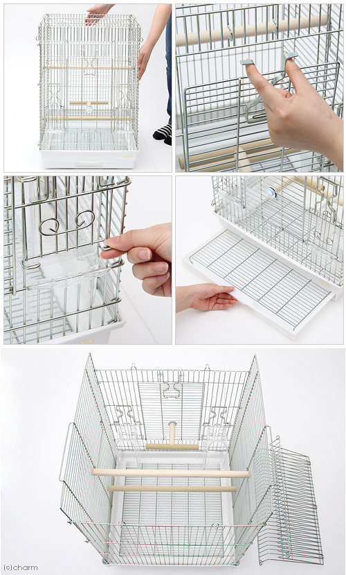 465パラキート 3