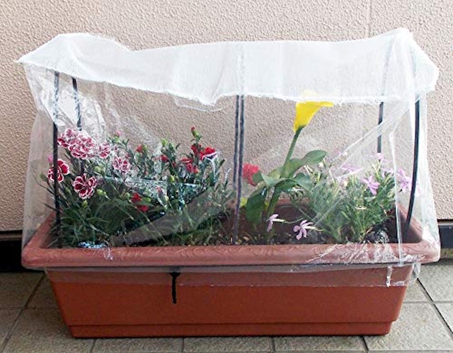 プランター菜園用防虫ネットのおすすめ人気ランキング8選 Mybest プランター菜園用防虫ネットのおすすめ人気ランキング8選 Mybest