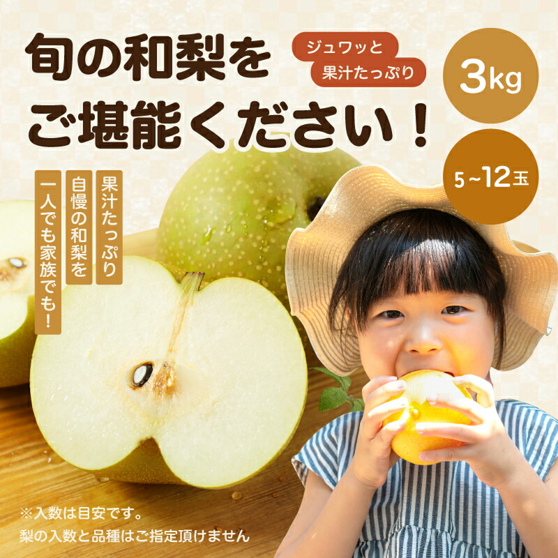 南信州産 訳あり和梨 5