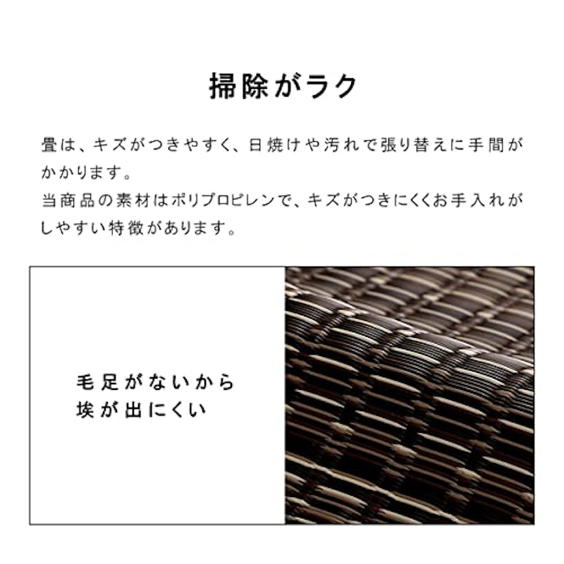 PPラグカーペット バルカン 4