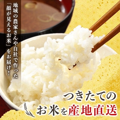 コシヒカリ 定期便 2