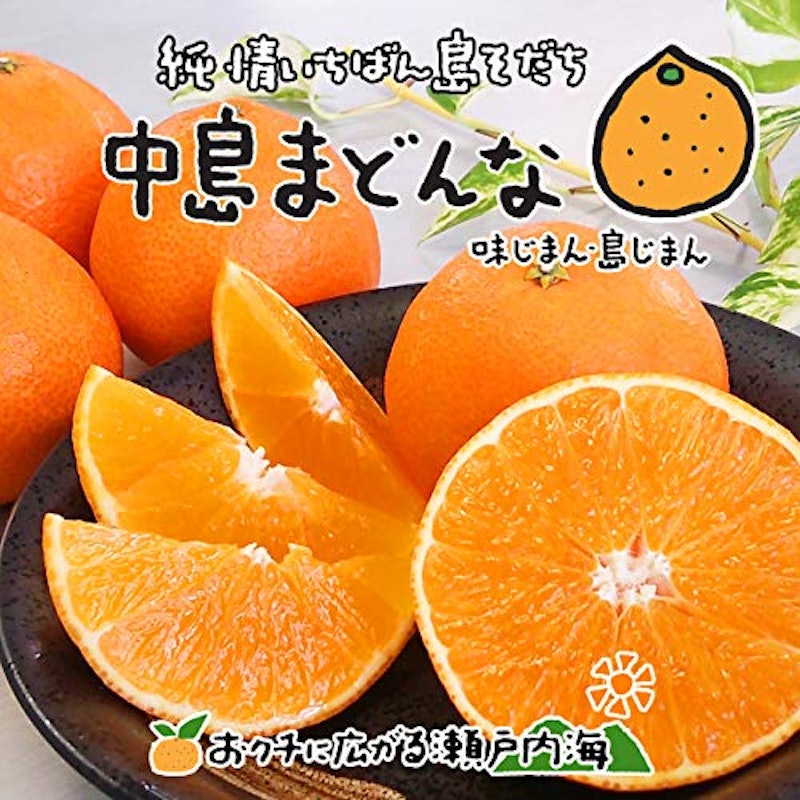 中島まどんな 訳あり品 1