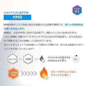 カリーナダイエット 4